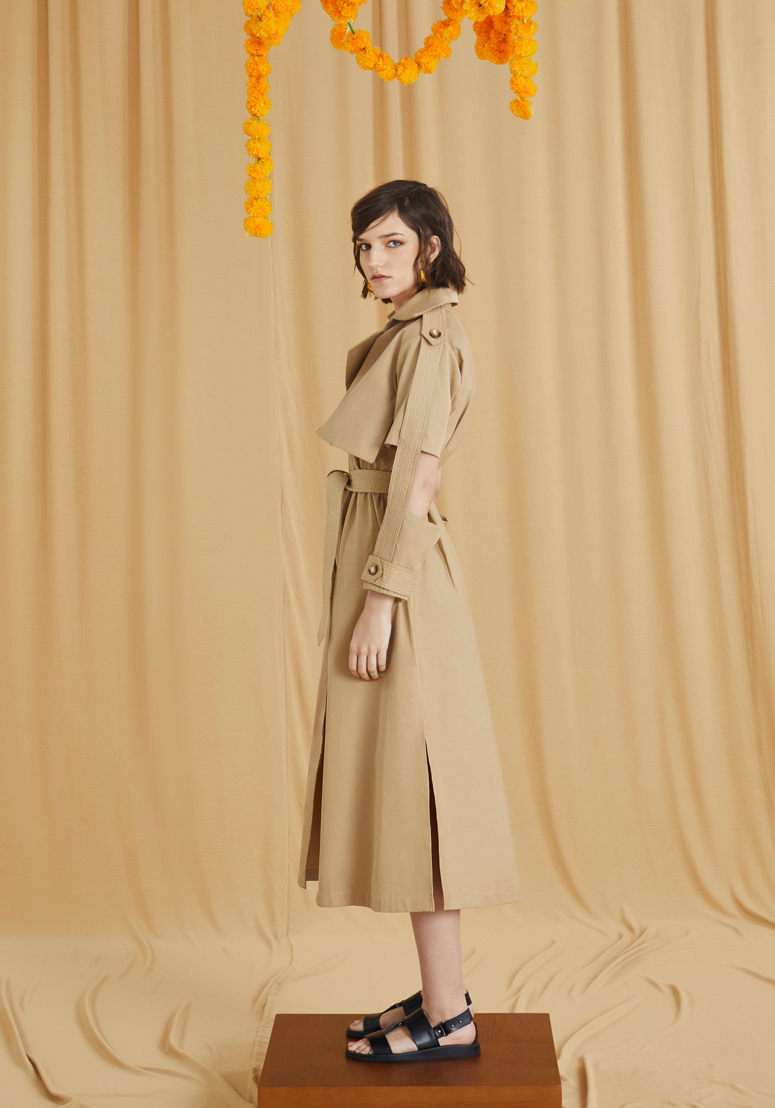 Trench Dress