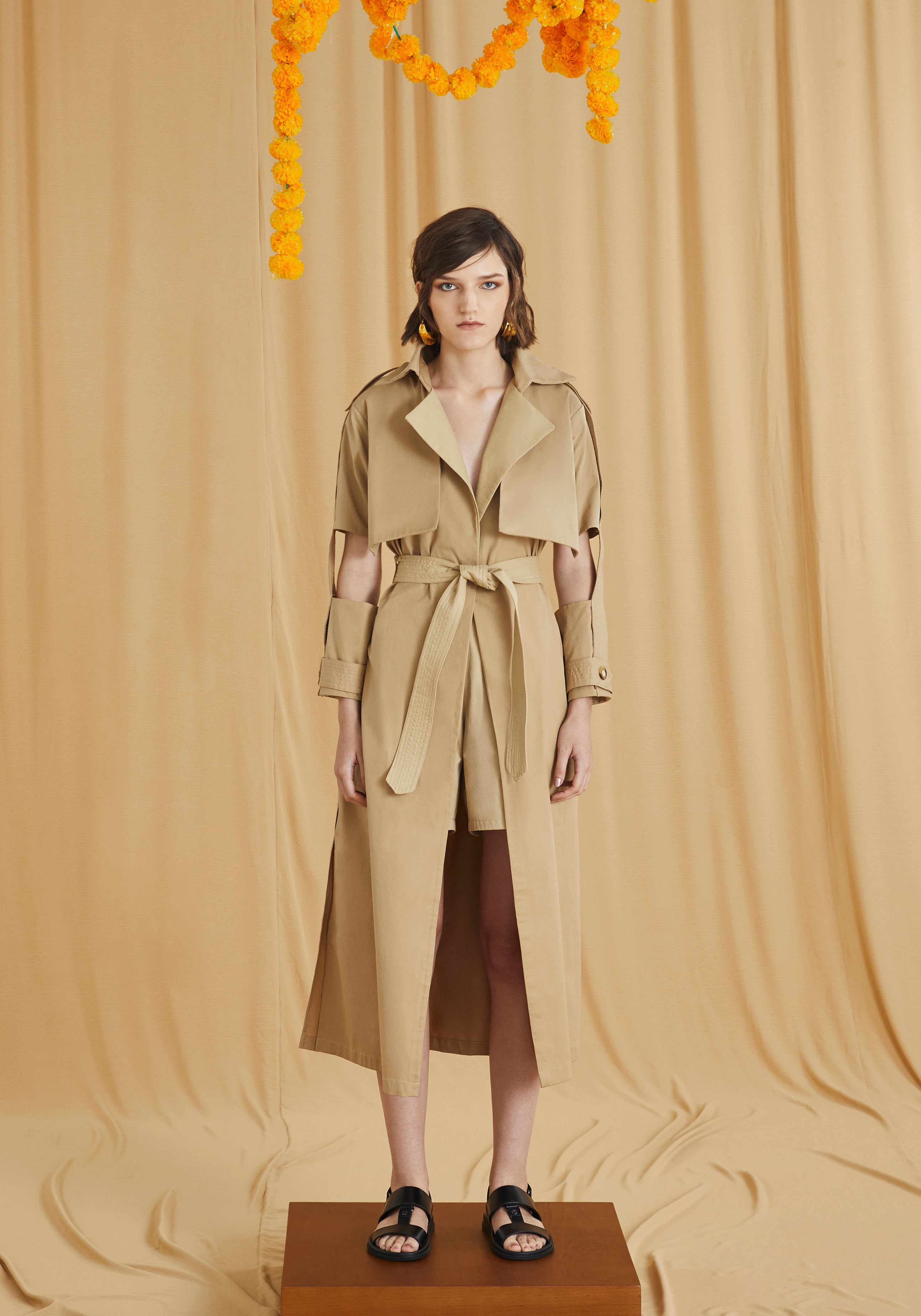 Trench Dress